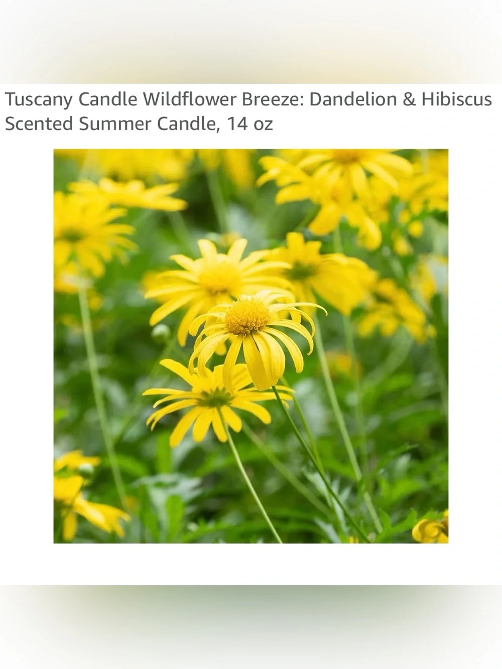 Tuscany candles wildflower breeze